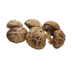 Jamur Shitake 1 bungkus