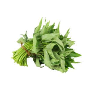 Kangkung Segar 1 ikat